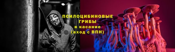 а пвп мука Переславль-Залесский