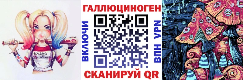 Галлюциногенные грибы Psilocybe  Мурманск 