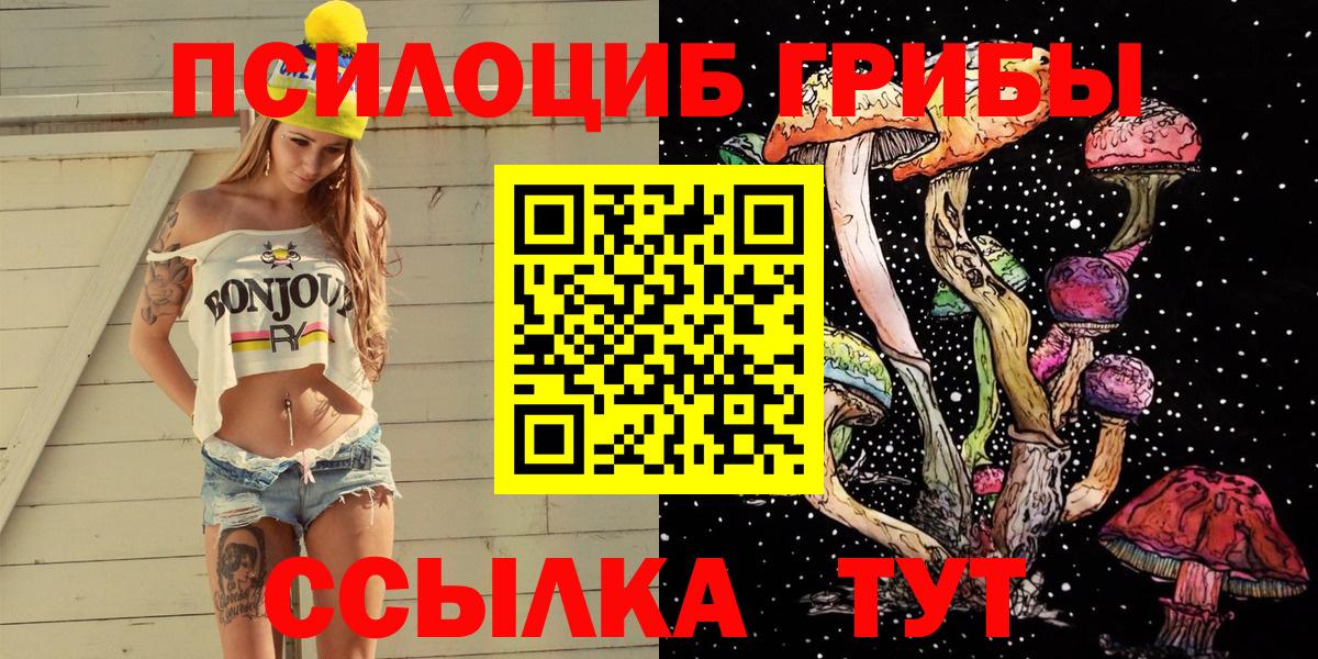 Мурманск  Галлюциногенные грибы Psilocybe  Вход с VPN 